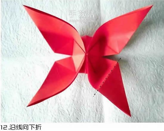 體型最大的蝴蝶 美麗鳳尾蝶的折紙方法圖解 -  www.rpnrmr.com