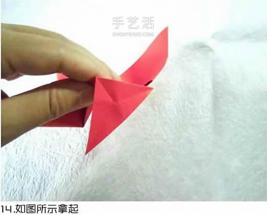 體型最大的蝴蝶 美麗鳳尾蝶的折紙方法圖解 -  www.rpnrmr.com