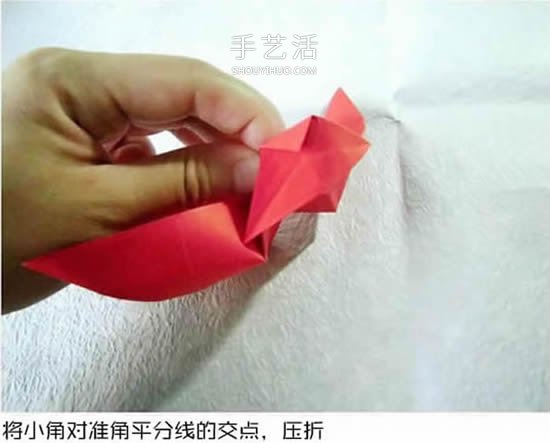 體型最大的蝴蝶 美麗鳳尾蝶的折紙方法圖解 -  www.rpnrmr.com