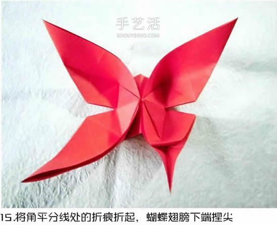 體型最大的蝴蝶 美麗鳳尾蝶的折紙方法圖解 -  www.rpnrmr.com