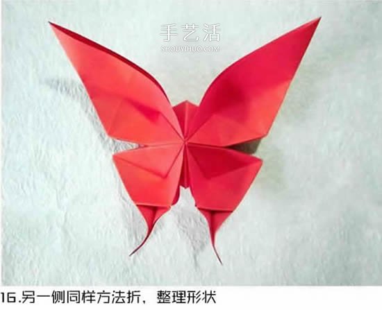 體型最大的蝴蝶 美麗鳳尾蝶的折紙方法圖解 -  www.rpnrmr.com