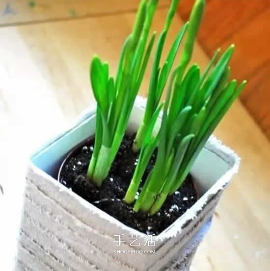 牛奶盒廢物利用 手工制作簡(jiǎn)易花盆的方法圖解 -  www.rpnrmr.com