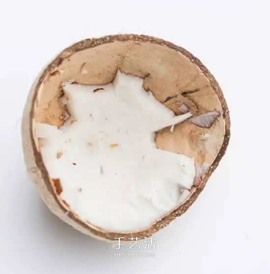 椰子殼可以利用來(lái)做什么 椰子殼創(chuàng)意手工大全 -  www.rpnrmr.com
