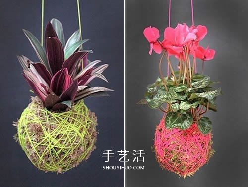 別浪費錢買花盆！用繩子就可以種出美麗多肉 -  www.rpnrmr.com