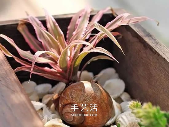 不花一分錢！廢物利用做花盆美到讓鄰居羨慕 -  www.rpnrmr.com