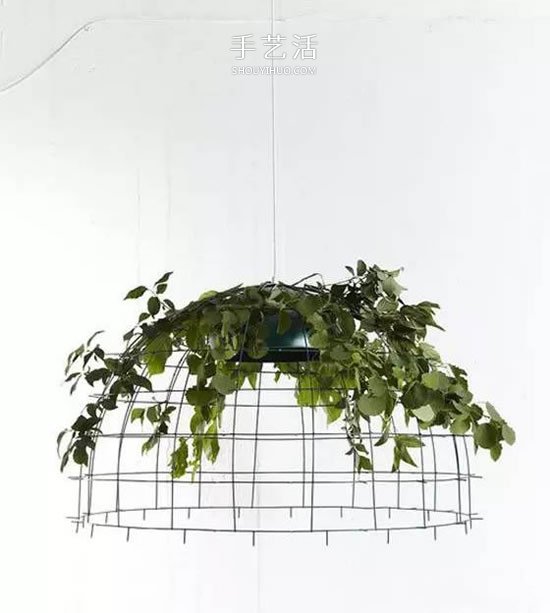 省地又好看的種花方式 原來花盆還能這么放 -  www.rpnrmr.com