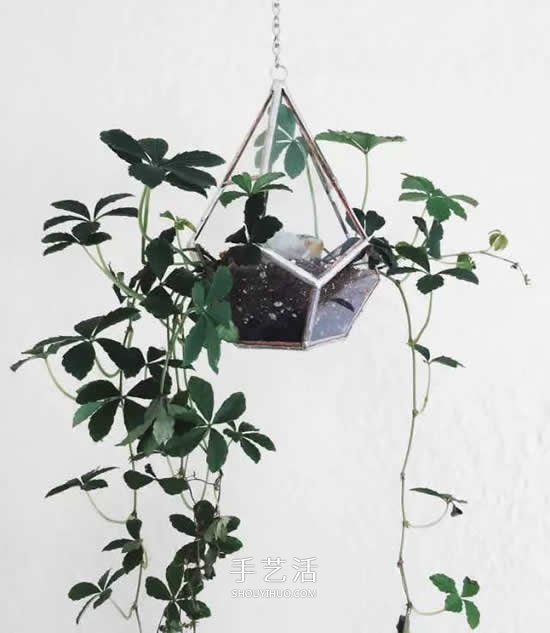 省地又好看的種花方式 原來花盆還能這么放 -  www.rpnrmr.com