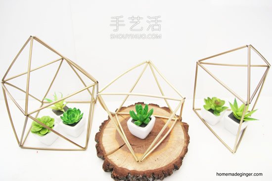 自制幾何形狀吸管花盆的方法圖解教程 -  www.rpnrmr.com