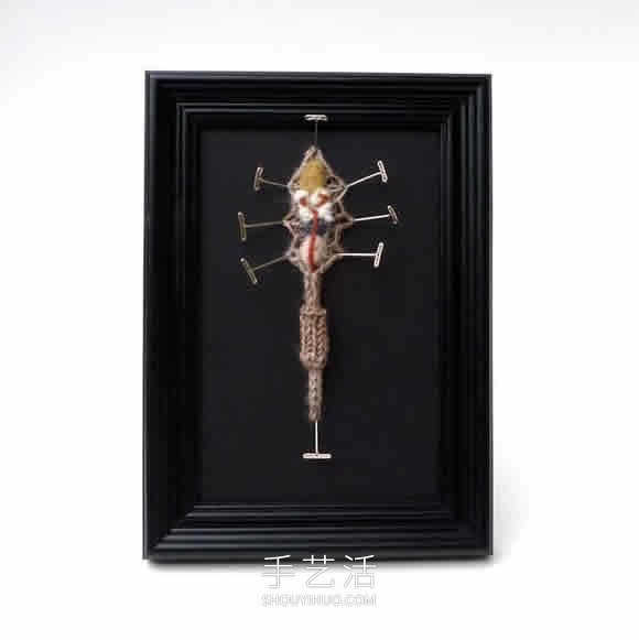動(dòng)物解剖針織作品！將解剖場(chǎng)面變成可愛展示 -  www.rpnrmr.com