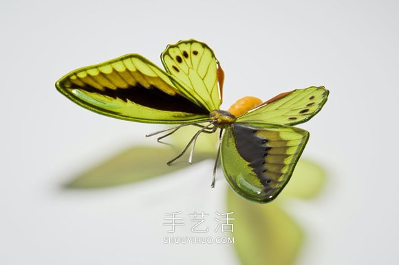 逼真蝴蝶玻璃雕塑！以瀕臨滅絕的蝴蝶為原型 -  www.rpnrmr.com