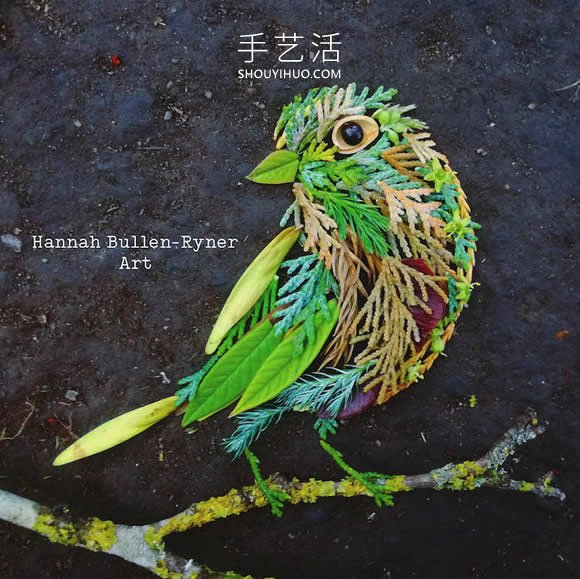 在森林中搜尋花朵和葉子，創(chuàng)作出精美鳥類肖像 -  www.rpnrmr.com